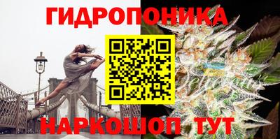 марихуана Будённовск