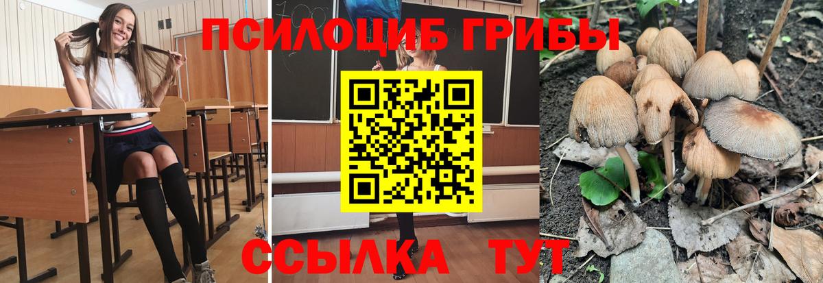 Лобня  Галлюциногенные грибы Magic Shrooms  Вход с VPN 