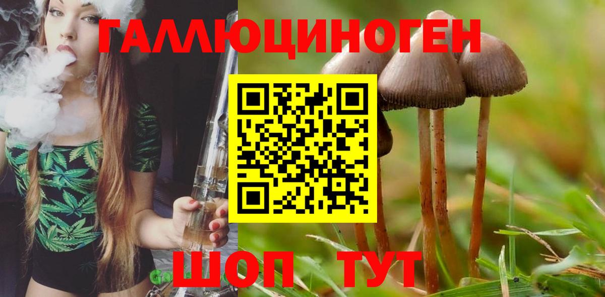 Псилоцибиновые грибы Cubensis Лобня